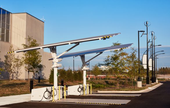 Making Sustainability a Key Business Strategy for Long-term Success: A Q&A with Amanda Sutton